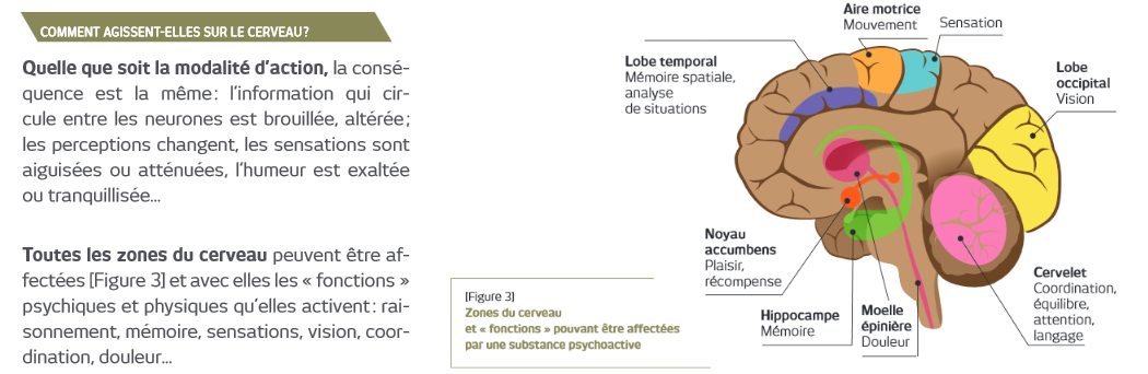 1. Comprendre les addictions